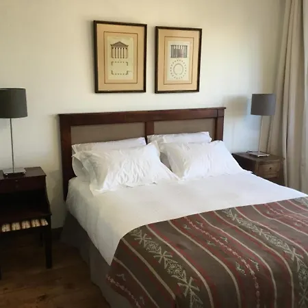 Providencia Forestal Apartment